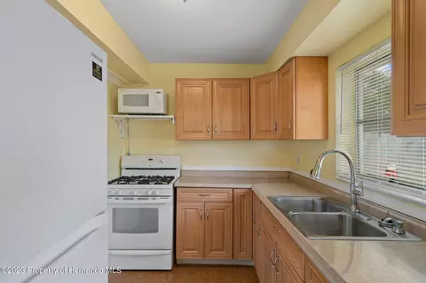 6278 Skyline, Spring Hill, FL 34606 photo 9