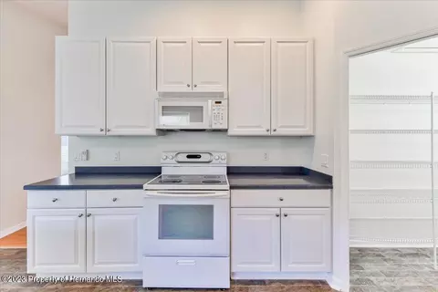 238 Longleaf, Spring Hill, FL 34609 photo 22