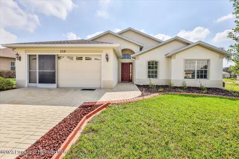 238 Longleaf, Spring Hill, FL 34609 photo 1