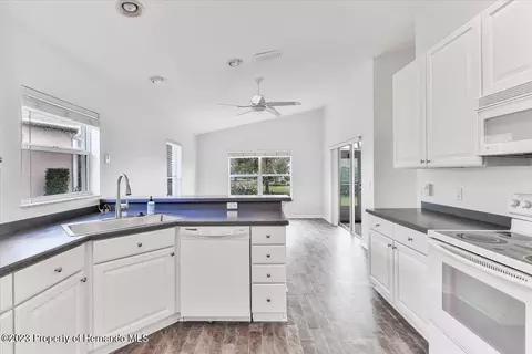 238 Longleaf, Spring Hill, FL 34609 photo 25