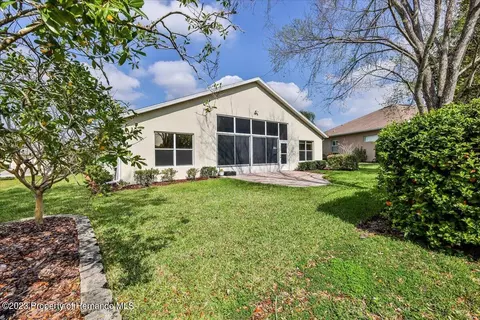 238 Longleaf, Spring Hill, FL 34609 photo 39
