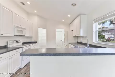 238 Longleaf, Spring Hill, FL 34609 photo 20