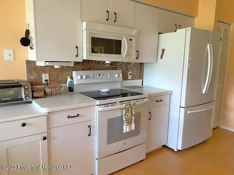 2110 Springmeadow, Spring Hill, FL 34606 photo 14