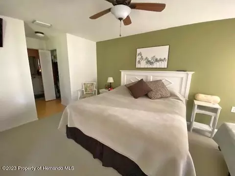 2110 Springmeadow, Spring Hill, FL 34606 photo 22