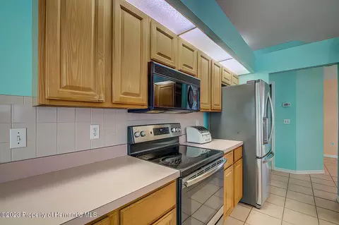 11402 Callaghan, Spring Hill, FL 34608 photo 23