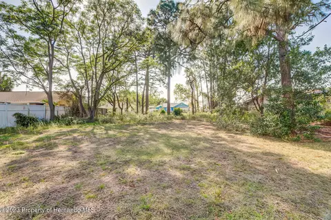 11402 Callaghan, Spring Hill, FL 34608 photo 51