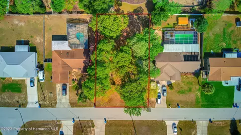 11402 Callaghan, Spring Hill, FL 34608 photo 6