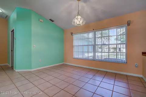 11402 Callaghan, Spring Hill, FL 34608 photo 20
