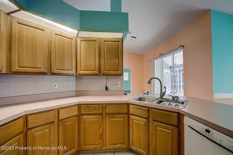 11402 Callaghan, Spring Hill, FL 34608 photo 24