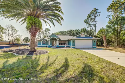 11402 Callaghan, Spring Hill, FL 34608 photo 1