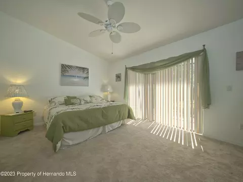 7236 Anhinga, Spring Hill, FL 34607 photo 24