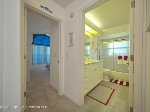 7236 Anhinga, Spring Hill, FL 34607 photo 35