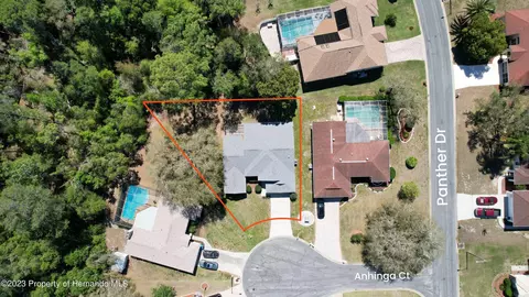 7236 Anhinga, Spring Hill, FL 34607 photo 2