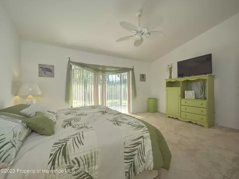 7236 Anhinga, Spring Hill, FL 34607 photo 25
