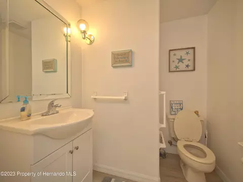 7236 Anhinga, Spring Hill, FL 34607 photo 43