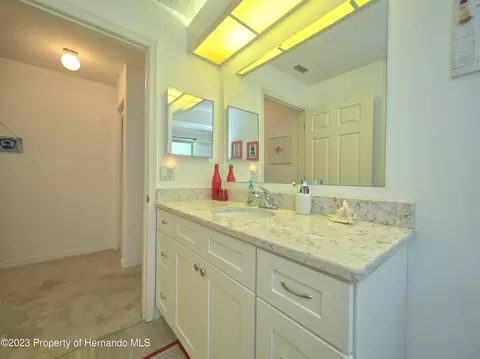 7236 Anhinga, Spring Hill, FL 34607 photo 37
