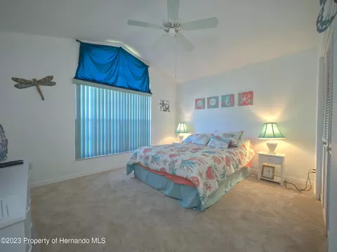 7236 Anhinga, Spring Hill, FL 34607 photo 38