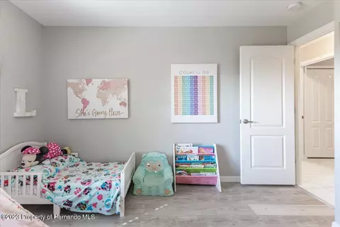 10172 Bannister, Spring Hill, FL 34608 photo 34