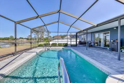 169 Hallam, Spring Hill, FL 34606 photo 47