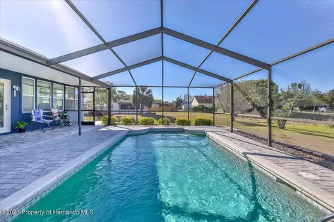 169 Hallam, Spring Hill, FL 34606 photo 50