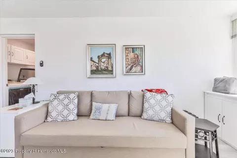 169 Hallam, Spring Hill, FL 34606 photo 24