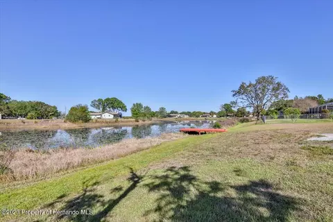 169 Hallam, Spring Hill, FL 34606 photo 52