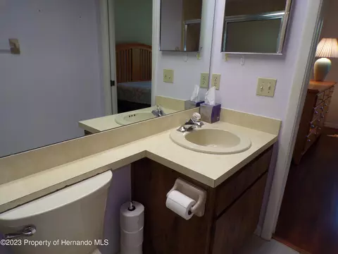 6608 Brambleleaf, Spring Hill, FL 34606 photo 29