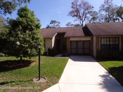 6608 Brambleleaf, Spring Hill, FL 34606 photo 1