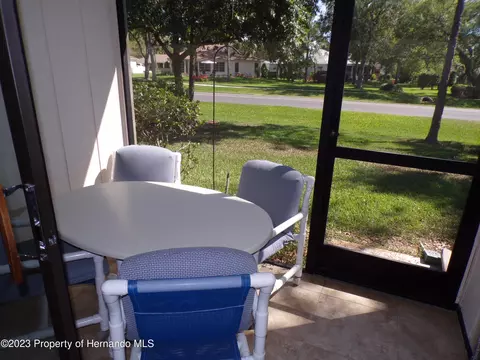 6608 Brambleleaf, Spring Hill, FL 34606 photo 22