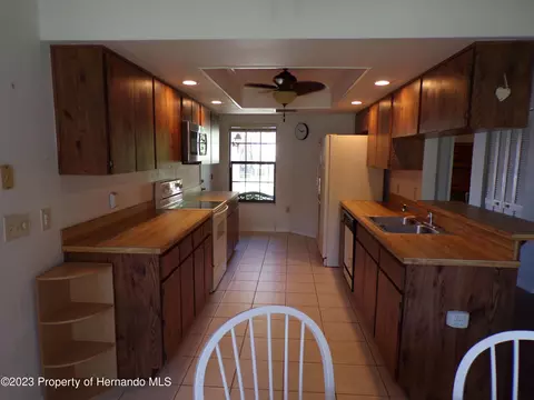 6608 Brambleleaf, Spring Hill, FL 34606 photo 13