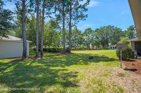 4186 Silver Fox, Spring Hill, FL 34609 photo 40