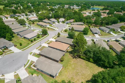 4186 Silver Fox, Spring Hill, FL 34609 photo 47