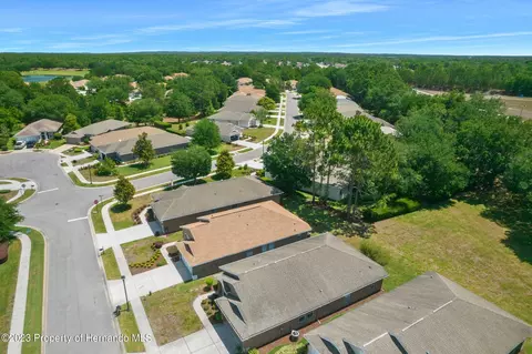4186 Silver Fox, Spring Hill, FL 34609 photo 43