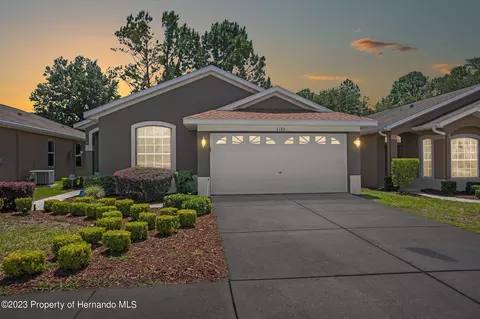 4186 Silver Fox, Spring Hill, FL 34609 photo 41