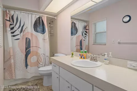 12313 Knotty Pne, Spring Hill, FL 34609 photo 47