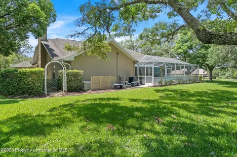 12313 Knotty Pne, Spring Hill, FL 34609 photo 65
