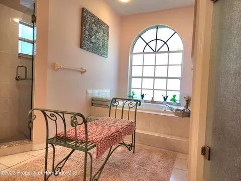 12313 Knotty Pne, Spring Hill, FL 34609 photo 42