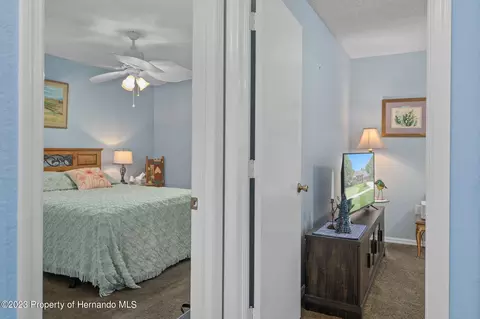 12313 Knotty Pne, Spring Hill, FL 34609 photo 43