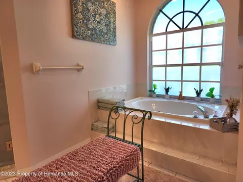 12313 Knotty Pne, Spring Hill, FL 34609 photo 41