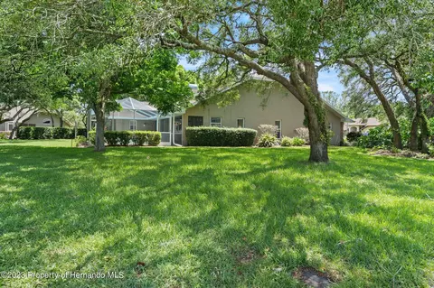 12313 Knotty Pne, Spring Hill, FL 34609 photo 64