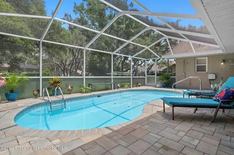 12313 Knotty Pne, Spring Hill, FL 34609 photo 53