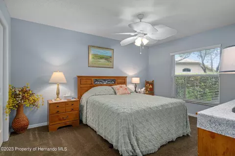12313 Knotty Pne, Spring Hill, FL 34609 photo 44