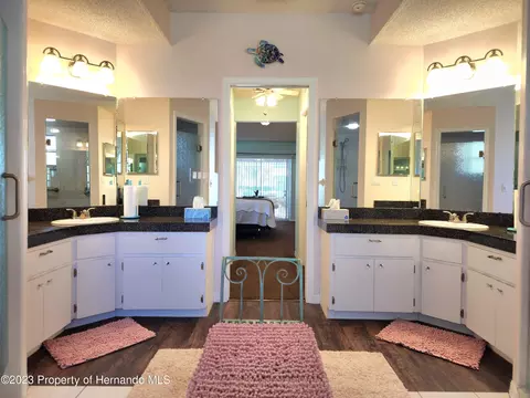 12313 Knotty Pne, Spring Hill, FL 34609 photo 38