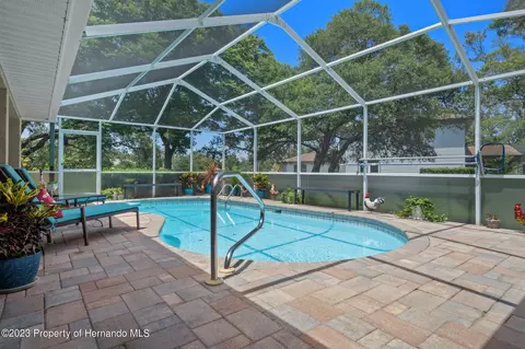 12313 Knotty Pne, Spring Hill, FL 34609 photo 54