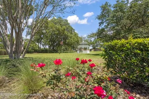315 Quane, Spring Hill, FL 34609 photo 38