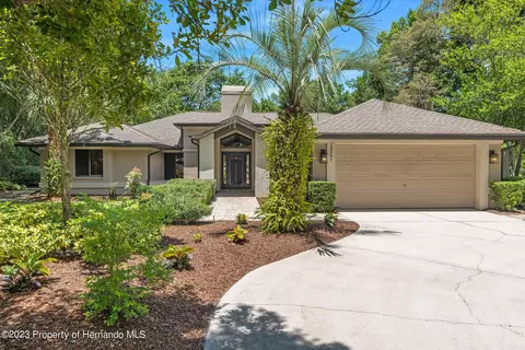 13361 Whitmarsh, Spring Hill, FL 34609 photo 1