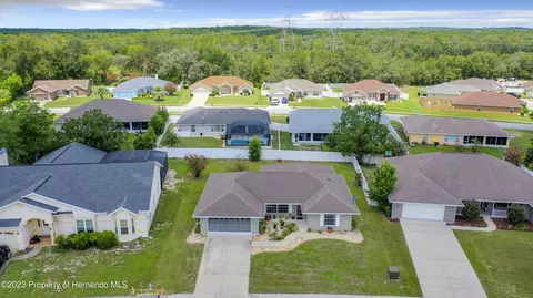 1126 Softwind, Lecanto, FL 34461 photo 10