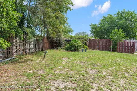 10261 Carrin, Spring Hill, FL 34608 photo 30