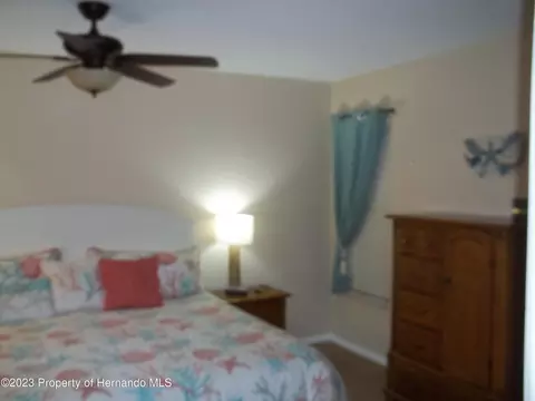 6581 Andromeda, Spring Hill, FL 34606 photo 17
