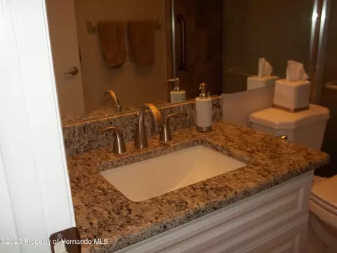 6581 Andromeda, Spring Hill, FL 34606 photo 23